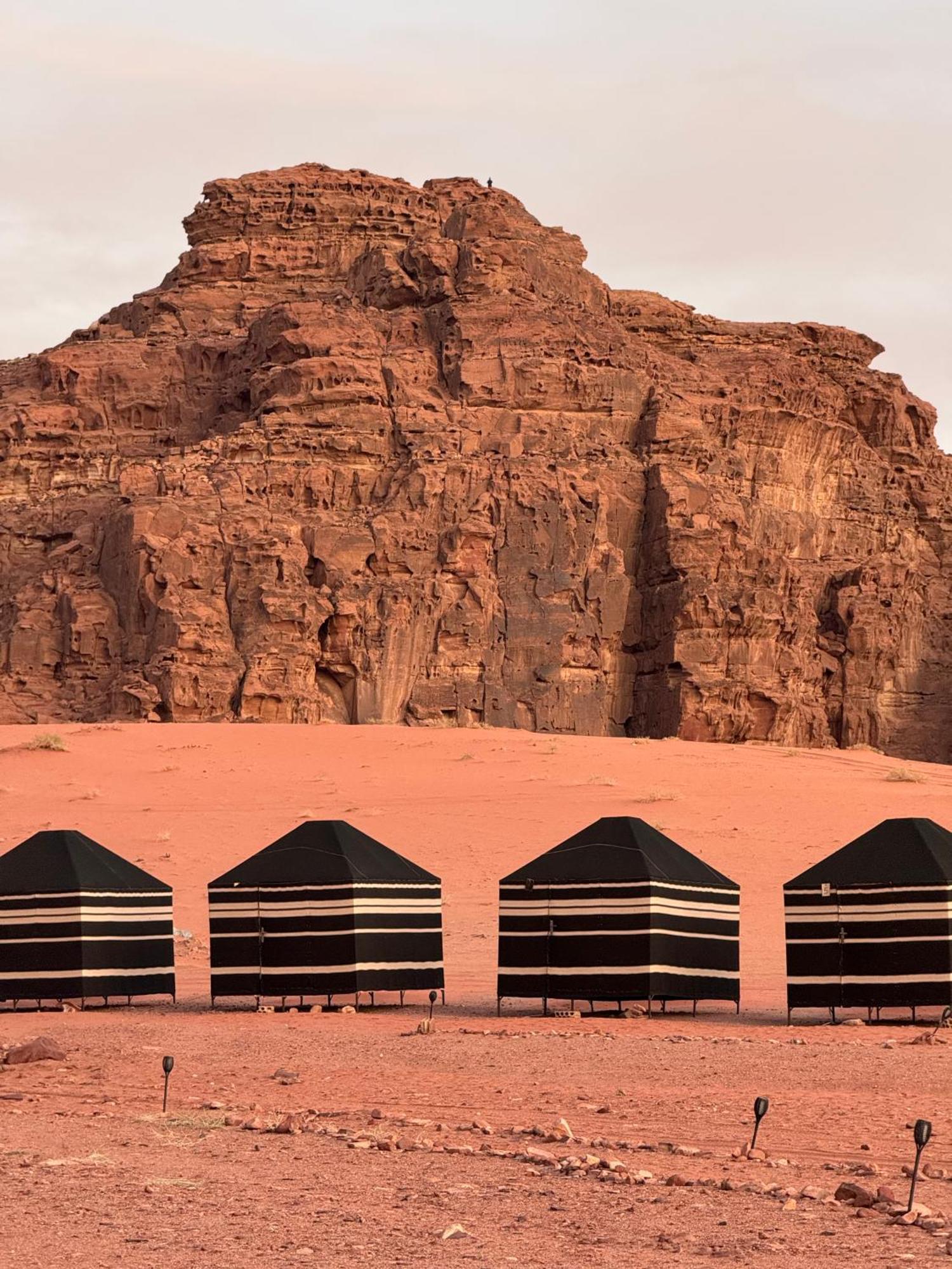 Desert Bird Camp Wadi Rum Exterior foto