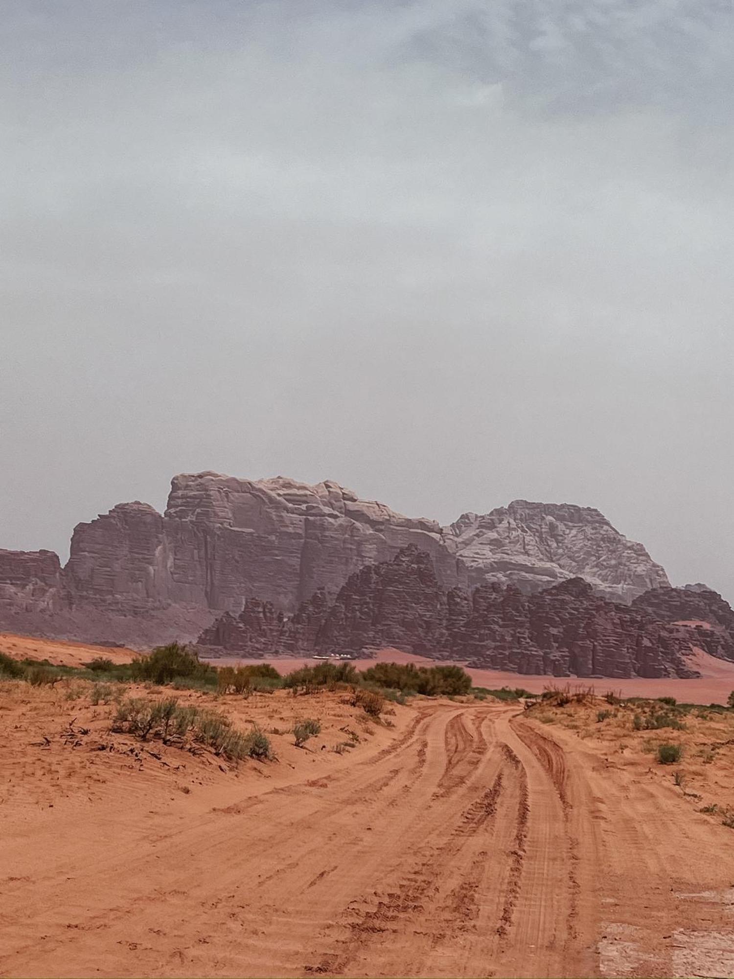 Desert Bird Camp Wadi Rum Exterior foto
