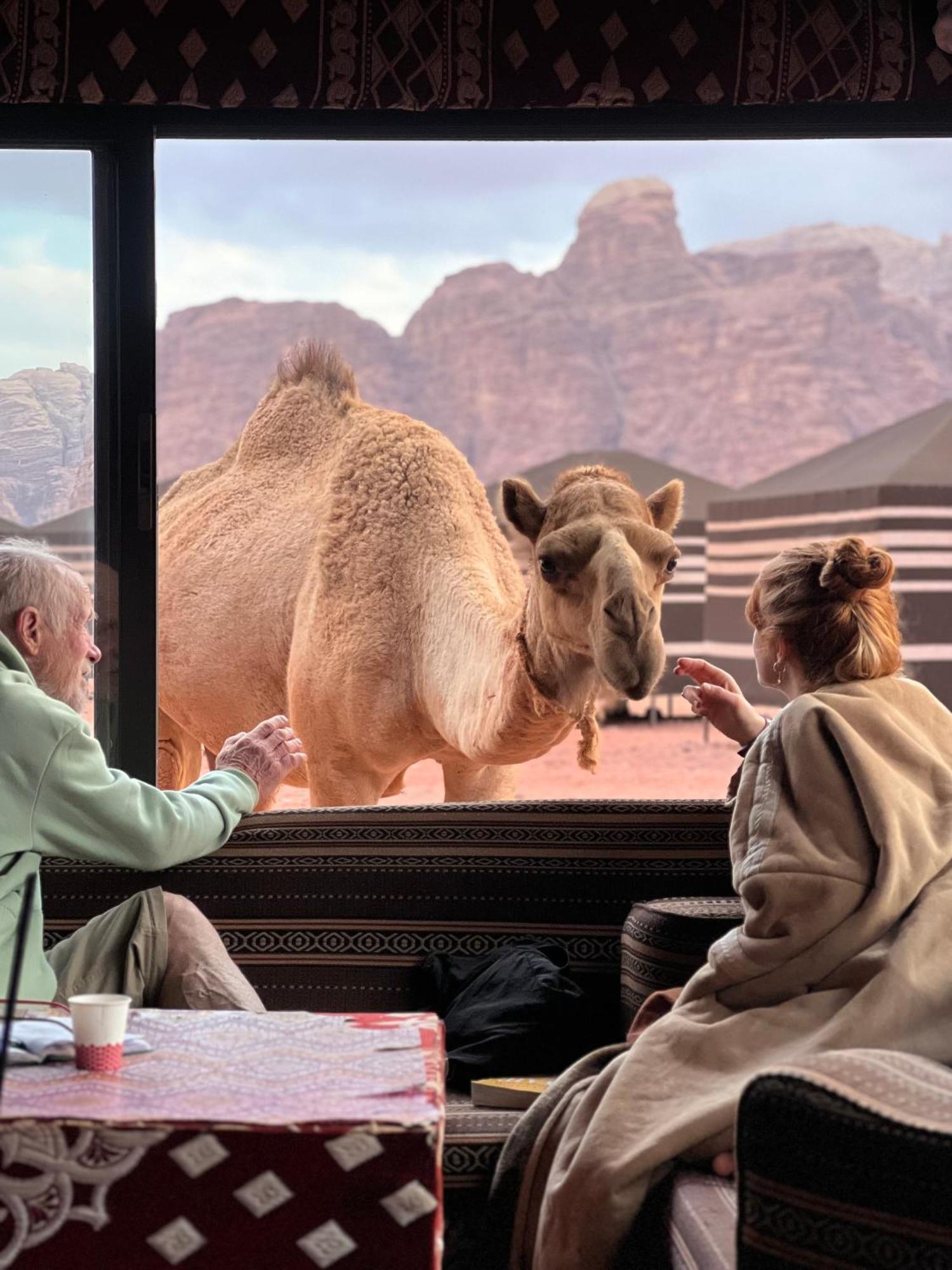 Desert Bird Camp Wadi Rum Exterior foto